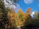Herbstwanderung im S&uuml;dharz (Foto: agl)