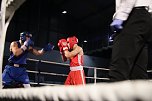 Boxgala in der Wiedigsburghalle (Foto: agl)