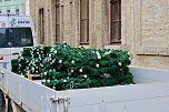 Gro&szlig;e Freude bei kleinen Wichteln - Kita Kinder schm&uuml;cken Weihnachtsbaum am Bad Langensalzaer Rathaus (Foto: Eva Maria Wiegand)