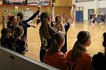 Handball-Ergebnisdienst (Foto: NSV)