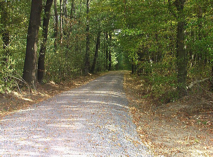kn auf Spurensuche (Foto: Karl-Heinz Herrmann)