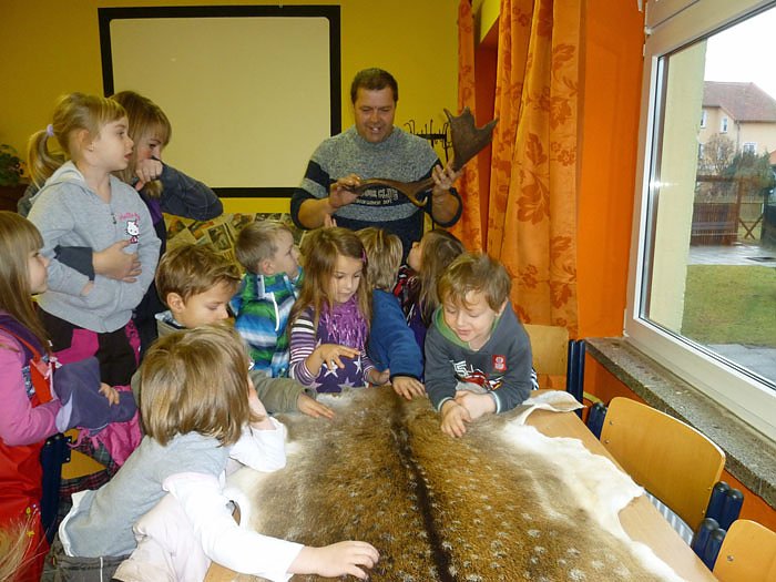Spatzen erkunden die Natur (Foto: Käferland) Spatzen erkunden die Natur (Foto: Käferland)