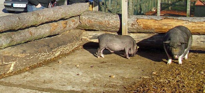Weihnachten auf dem Possen (Foto: Thomas Leipold) Weihnachten auf dem Possen (Foto: Thomas Leipold)