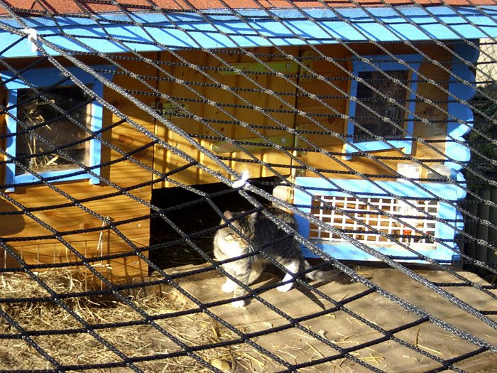 Weihnachten auf dem Possen (Foto: Thomas Leipold) Weihnachten auf dem Possen (Foto: Thomas Leipold)