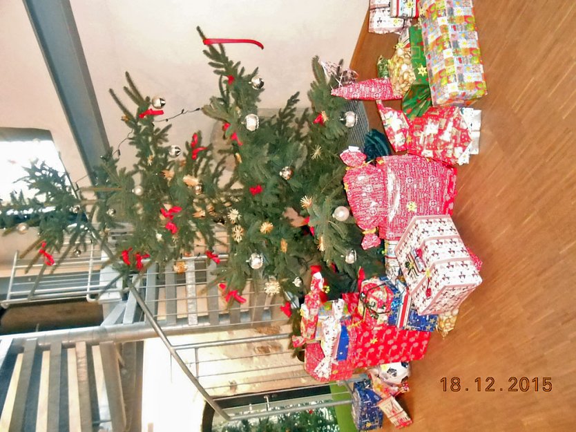 Aktion Wunschbaum auch nächstes Jahr (Foto: Düne) Aktion Wunschbaum auch nächstes Jahr (Foto: Düne)