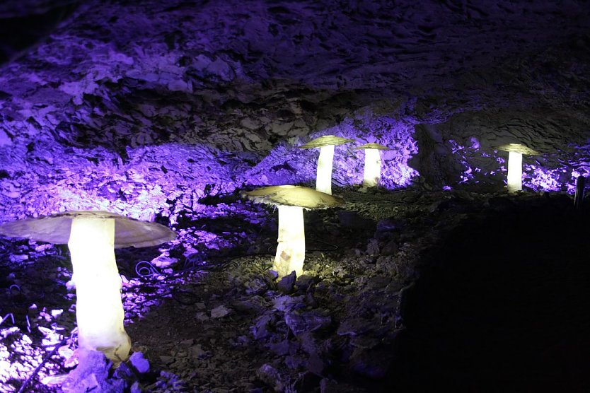 World of Lights - Lichterwelten... (Foto: Barbarossah&ouml;hle)