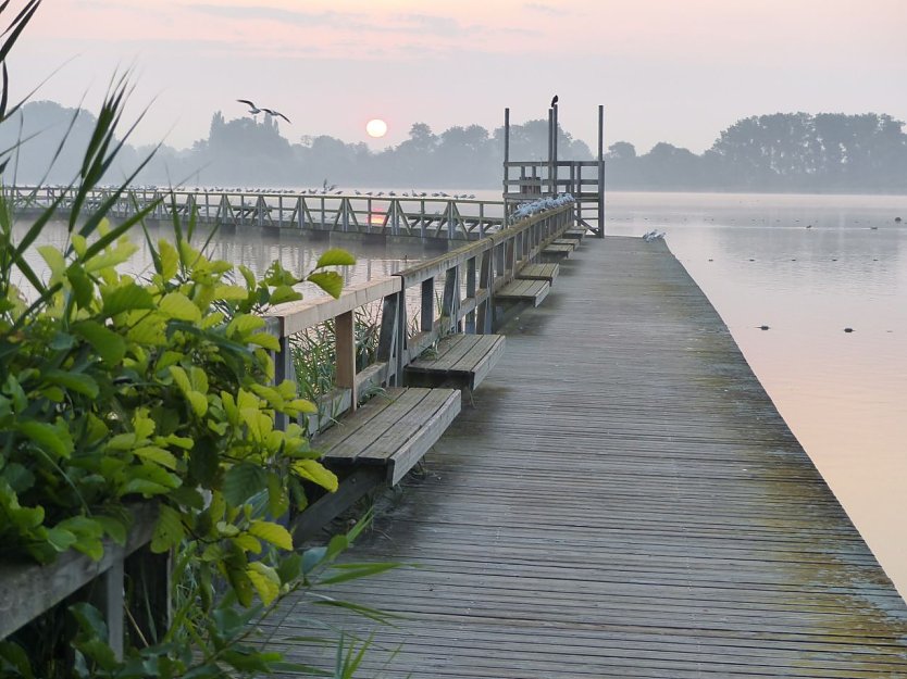 Seeburger See (Foto: Tina Klingebiel) Seeburger See (Foto: Tina Klingebiel)