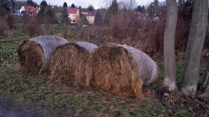 Wehe so handelt ein Privatmann (Foto: Karl-Heinz Herrmann) Wehe so handelt ein Privatmann (Foto: Karl-Heinz Herrmann)