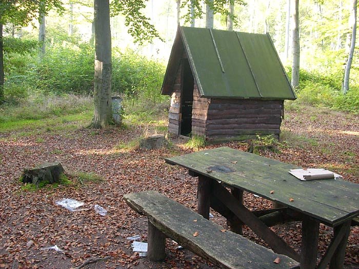 M&uuml;ll im Wald (Foto: Karl-Heinz Herrmann)