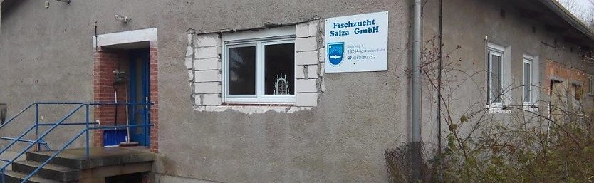 Kein sch&ouml;ner Anblick (Foto: Kurt Frank)