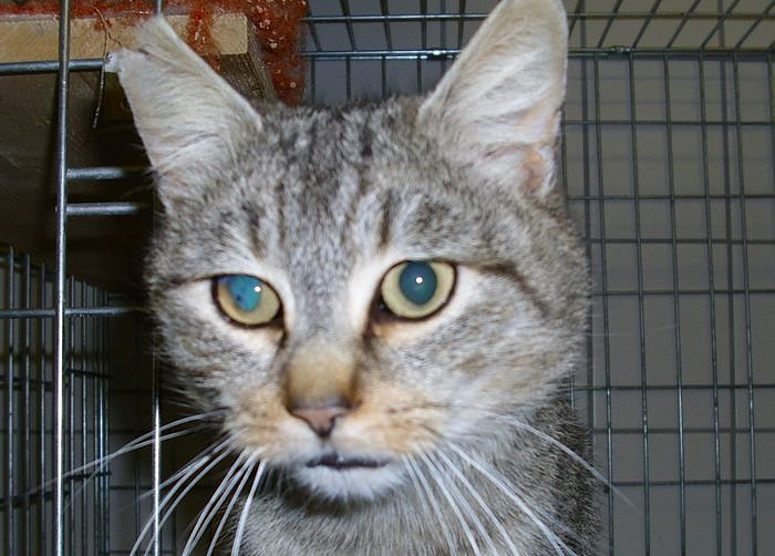 M&auml;xchen (Foto: Knust)