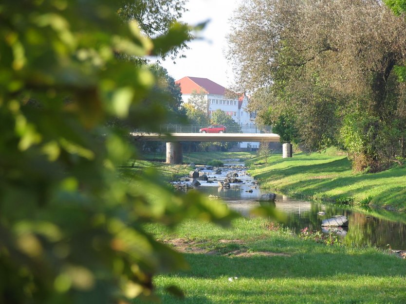 Die Zorgeauen sollen sauber werden (Foto: Pressestelle Stadt Nordhausen)
