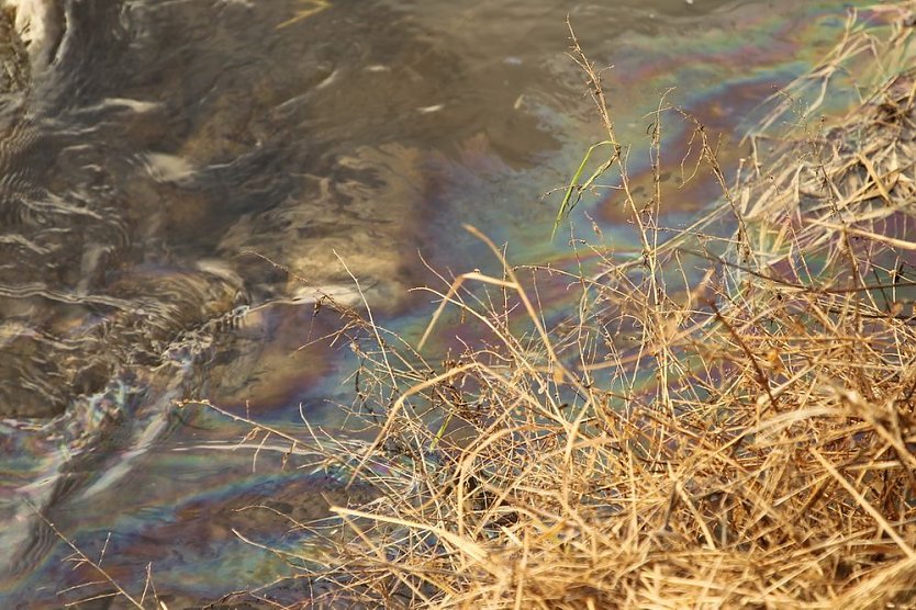 Weihnachtsessen fiel aus (Foto: Silvio Dietzel)