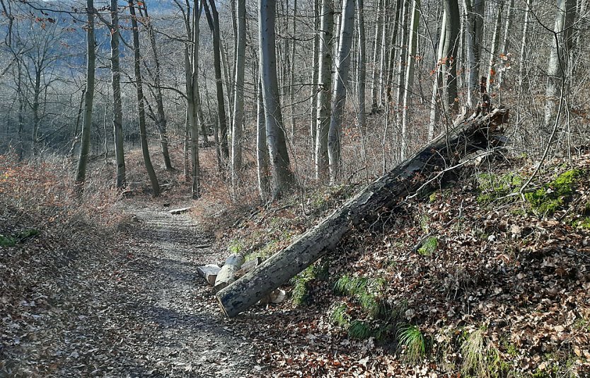Betreten immer auf eigene Gefahr (Foto: Karl-Heinz Herrmann)