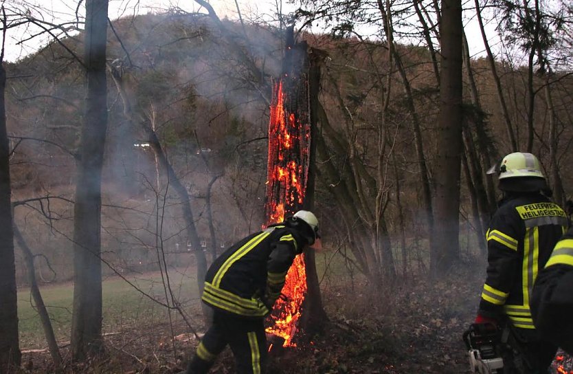 Brennender Baumstamm (Foto: Feuerwehr Heiligenstadt)