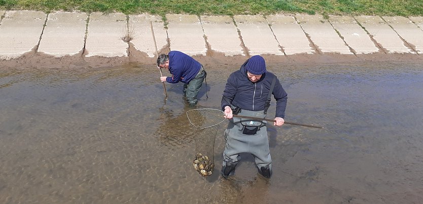 Herr Liska im Einsatz (Foto: F.Gabriel)