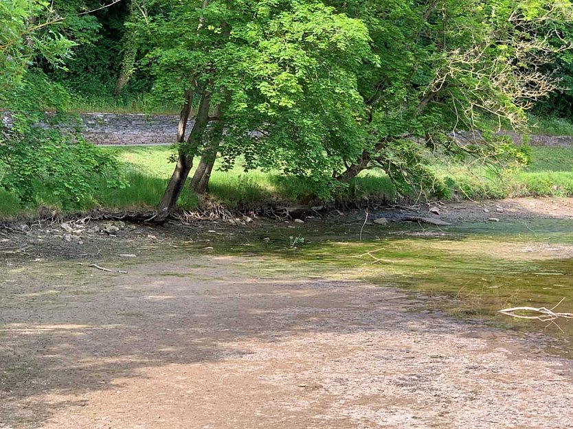 Aussp&uuml;lung am Ufer des Kleinen Parkteichs (Foto: Stiftung Th&uuml;ringer Schl&ouml;sser und G&auml;rten, Manuel Mucha)