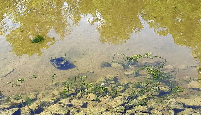 Stiftung Th&uuml;ringer Schl&ouml;sser und G&auml;rten, Manuel Mucha (Foto: Karl-Heinz Herrmann)