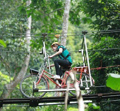 Fahrrad (Foto: Mike Schielke) Fahrrad (Foto: Mike Schielke)