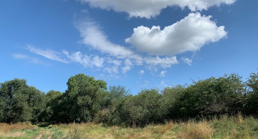 Somerlandschaft (Foto: nnz-Archiv) Somerlandschaft (Foto: nnz-Archiv)