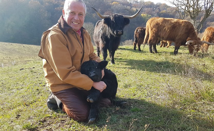 Erst zwei Tage alt ist dieses K&auml;lbchen, das Meyk Forst liebevoll umarmt. Im Hintergrund das dunkle Tier der Rasse Schottisches Hochlandrind ist die Mutter des Kleinen. (Foto: Kurt Frank)