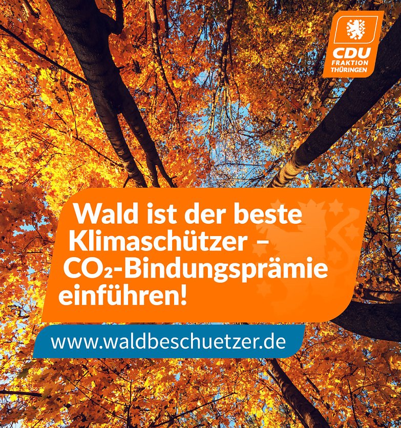 CDU-Fraktion startet Baumpflanzkampagne (Foto: Stefan Schard)