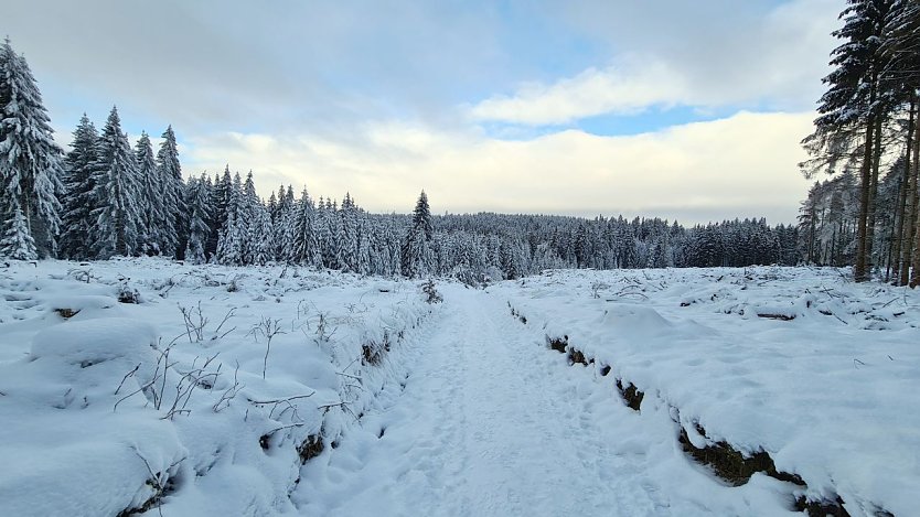 Winterlandschaft (Foto: nnz)