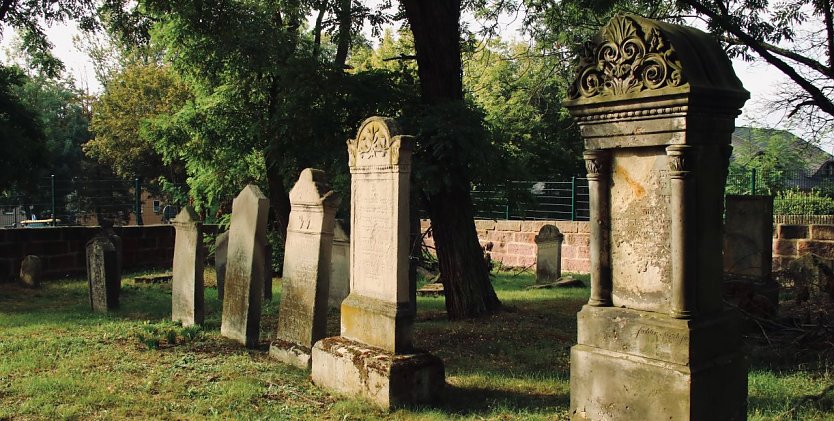 Still und gut verborgen liegt der jüdische Friedhof heute mitten in Nordhausen (Foto: agl)