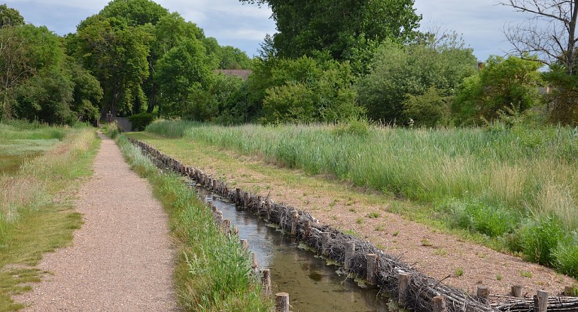 Meere-Salde im Artener Solgraben (Foto: Landschaftspflegeverband S&uuml;dharz/ Kyffh&auml;user)