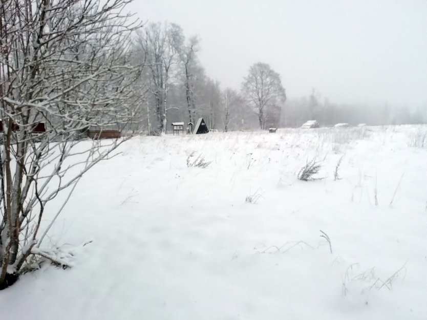 Heute morgen in Sophienhof, dem n&ouml;rdlichsten Ort Th&uuml;ringens (Foto: W. J&ouml;rgens)
