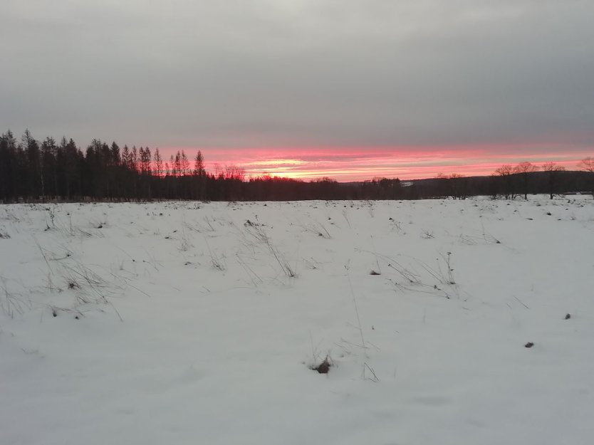 Frostig frisch konnte man heute morgen den Sonnenaufgang in Sophienhof bewundern (Foto: W. Jörgens)