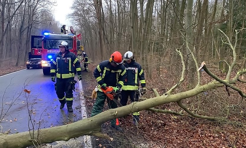 Bild vom Unfallort im März 2020 (Foto: Feuerwehr Bad Langensalza/SD)