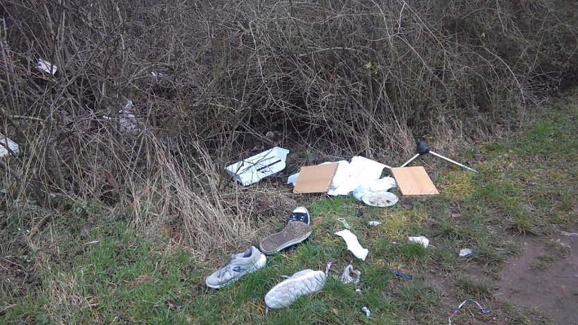 Allerlei am Weg ich fand � hier leider nicht das, was das Auge erfreut. Nur eine kleine Auswahl an Unrat an und in den B&uuml;schen entlang der HSB-Bahnlinie und der Kleingartenanlage An der Blumensiedlung in Nordhausen (Foto: Anton Adlerauge)