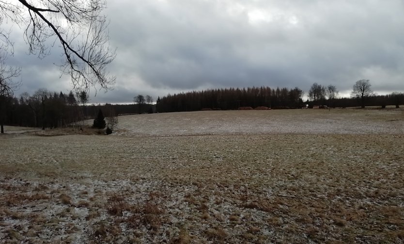 St&uuml;rmische Winde bei null Grad heute Morgen im oberen Harz (Foto: W.J&ouml;rgens)