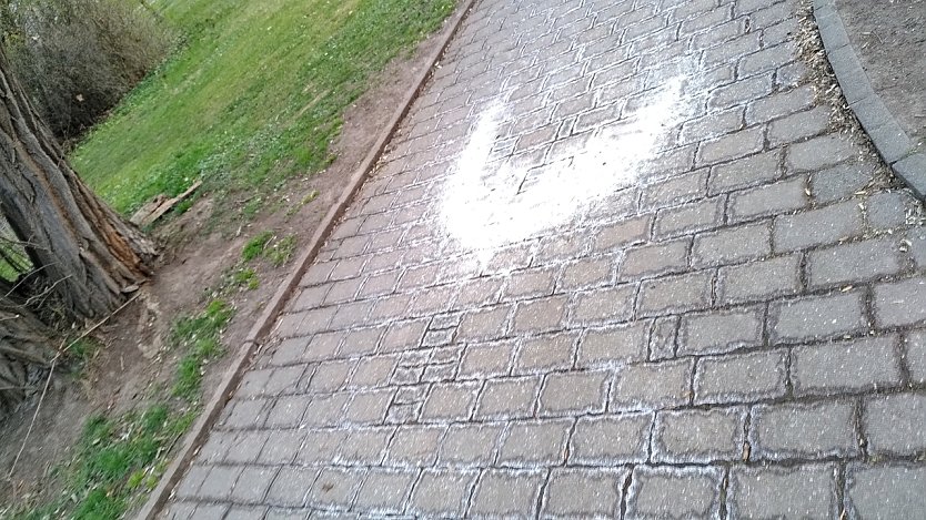 Gro&szlig;z&uuml;gig gestreut (Foto: C. Marx)