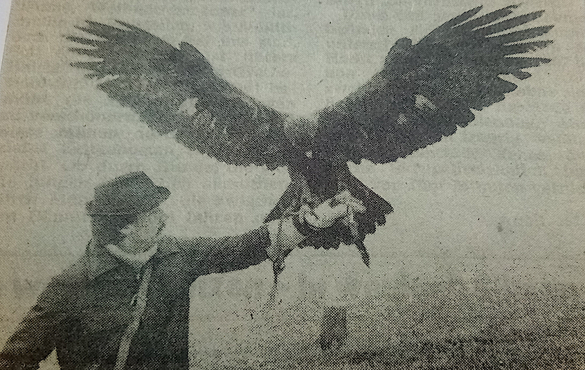 Diese Aufnahme erfolgte im Dezember 1987. An einem neblig-tr&uuml;ben Tag. Reinhold K&ouml;rner geh&ouml;rte zu den vier Falknern der Republik, die einen Adler als Beizvogel besa&szlig;en.                                                          (Foto: Herbert Wolff)