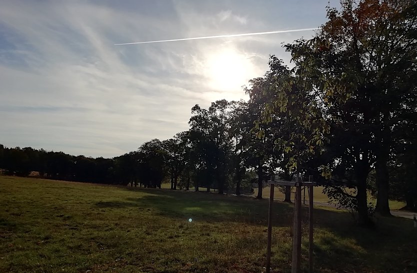 Heute Morgen in Th&uuml;ringens n&ouml;rdlichstem Punkt Sophienhof 3&deg;C, Sonnenschein und leichter Wind (Foto: W.J&ouml;rgens)