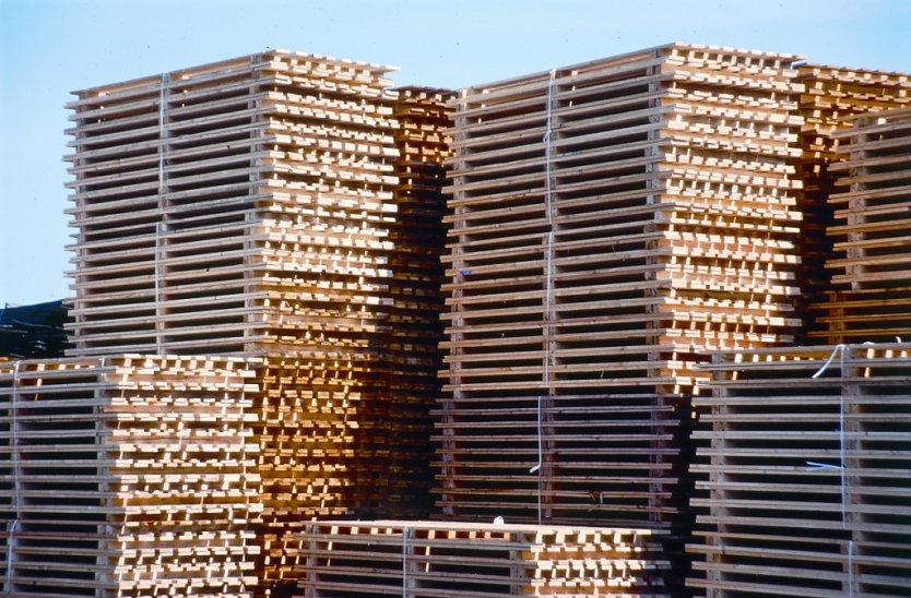 Seit Jahrzehnten in der Logistik nicht mehr wegzudenken: Holzpaletten. Auch die Thüringer Palettenhersteller werden mit dem heimischen, nachhaltig produzierten Rohstoff Holz versorgt (Foto: HAF/ThüringenForst-AöR)