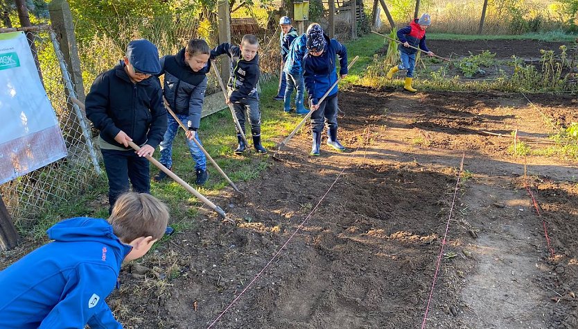 Schulgartenprojekt in der Staatlichen Grundschule Hohenebra (Foto: M. Ryska)