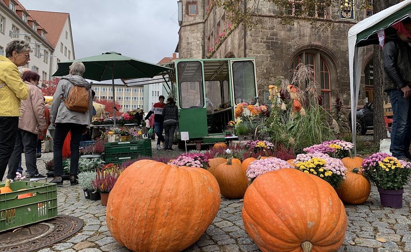 Zwiebel- und K&uuml;rbismarkt vor dem Rathaus (Foto: Stadtverwaltung Nordhausen)