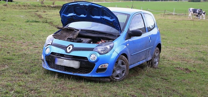 Endstation Kuhweide: Von der Stra&szlig;e abgekommen (Foto: Silvio Dietzel)
