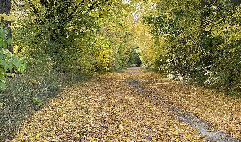 Herbstwetter bleibt freundlich (Foto: oas)
