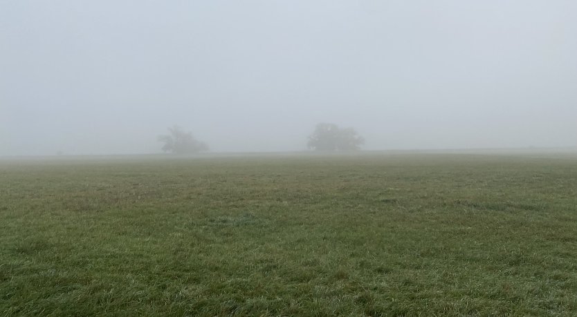 Vielerorts in Th&uuml;ringen nachts und am Morgen neblig (Foto: oas)