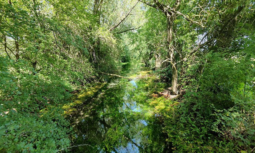 Die Salzaquelle (Foto: Peter Blei (Archiv))