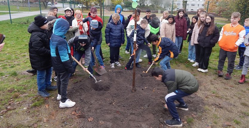 An der Petersbergschule wurde gestern eine Sommerlinde gepflanzt (Foto: agl)