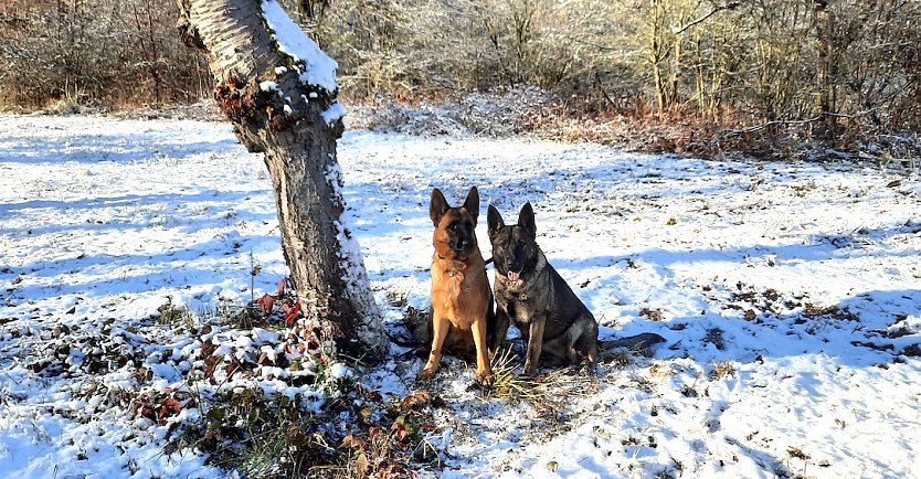Spaziergang mit Hund (Foto: B.Hellrung)