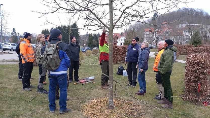 Richtig trimmen will gelernt sein (Foto: Landschaftspflegeverband)