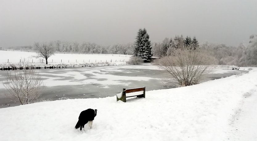 Der winterliche Harz lädt bei Werten um den Gefrierpunkt zu Spaziergängen ein (Foto: W.Jörgens)