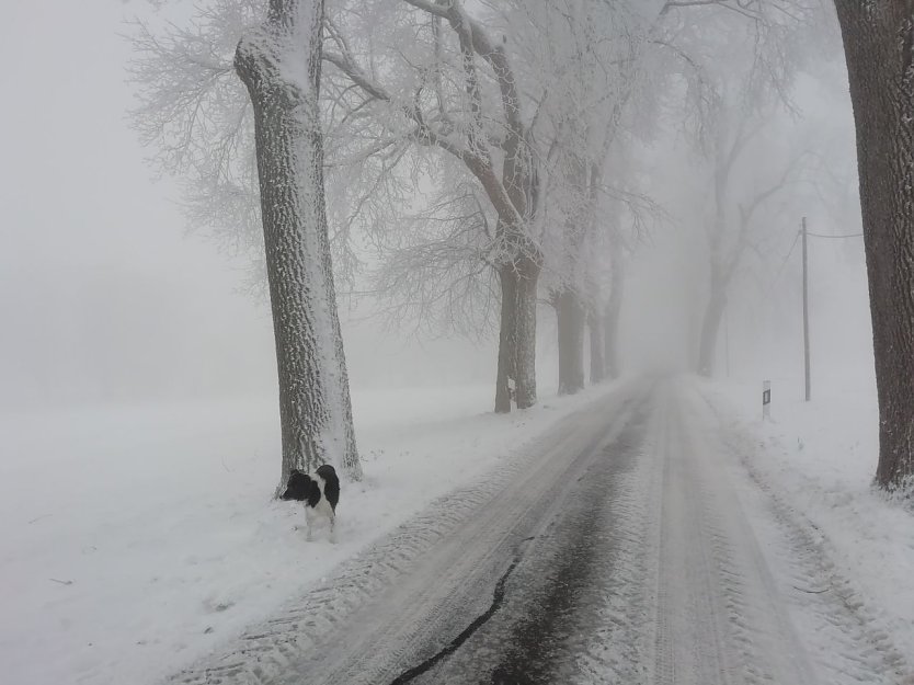 Wei&szlig; und grau zeigt sich der Harz bei Sophienhof (Foto: W. J&ouml;rgens)