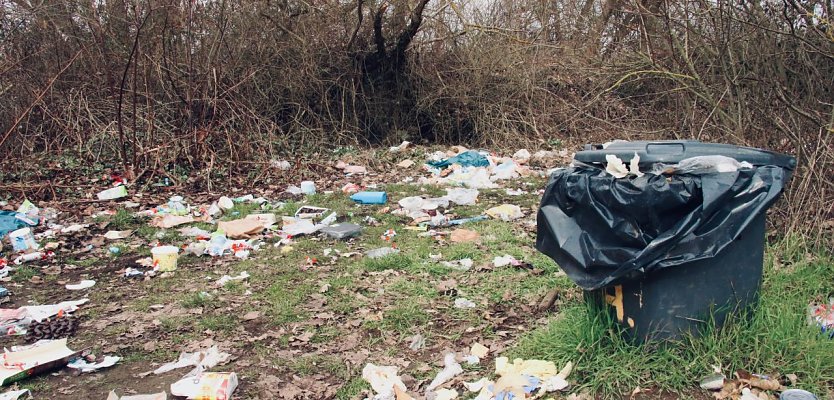 Müllchaos an der Betonstraße zwischen Bielen und Sundhausen (Foto: agl) Müllchaos an der Betonstraße zwischen Bielen und Sundhausen (Foto: agl)